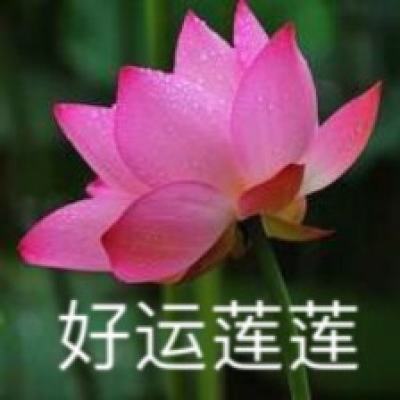 谜题大陆九游版下载